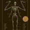 The Resurrectionist: The Lost Work of Dr. Spencer Black