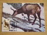 M5 - maxima - tematica fauna - animale 4 - prima zi a emisiunii sau expozitii, Romania de la 1950