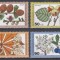 Germania Berlin 1979 - Fructe de pădure, MNH