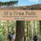 If a Tree Falls: The Global Impact of Deforestation