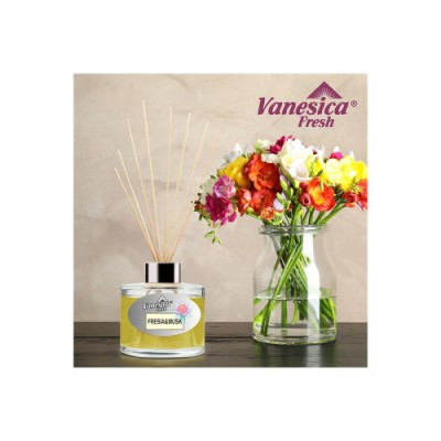 Odorizant home &amp;amp; office Vanesica Atmosfera 100ml foto