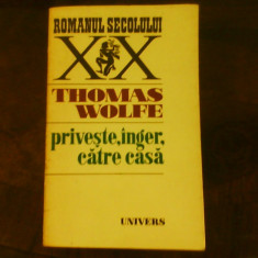 Thomas Wolfe Priveste, inger, catre casa - istorie a vietii ingropate -