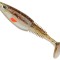Shad Berkley Sick Swimmer, Brown Bleak, 11g, 9cm