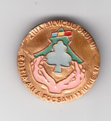 Insigna Ziua Silvicultorului - Focsani 1992 foto