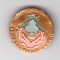 Insigna Ziua Silvicultorului - Focsani 1992