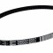Curea transmisie placa compactoare Wacker Neuson DPU 3750H, DPU 3050 (5000216557)