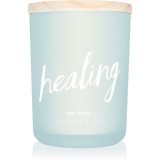 DW Home Zen Healing Sea Salt &amp; Lily lum&acirc;nare parfumată 213 g