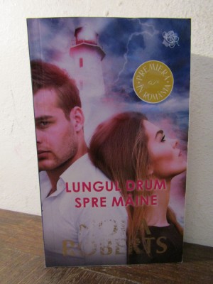 Lungul drum spre m&amp;acirc;ine - Nora Roberts foto