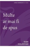 Multe ar mai fi de spus - Ioan Moldovan