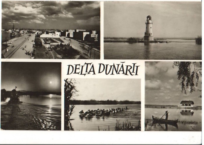 CPIB 17529 CARTE POSTALA - DELTA DUNARII. MOZAIC