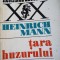 HEINRICH MANN - ȚARA HUZURULUI