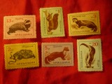 Serie Bulgaria 1963 - Fauna , 6 valori, Nestampilat