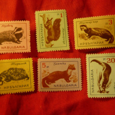 Serie Bulgaria 1963 - Fauna , 6 valori