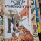 Usborne Facts &amp; Fun About Animals &amp; Science - Paul Dowswell