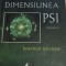 DIMENSIUNEA PSI Volumul 2 Ovidiu Dragos Argesanu