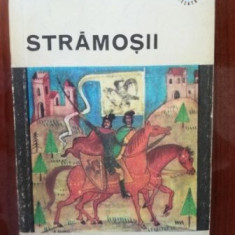 Stramosii- Radu Theodoru