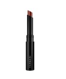 Cumpara ieftin Ruj Farmasi Lip Stylo Reddish Brown , Culoare Intensa si Textura Catifelata
