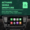 Activare Apple CarPlay si Android Auto pentru Skoda Rapid (2015-2018)