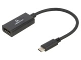 Adaptor USB C la DisplayPort 1.2