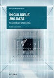 In culisele Big Data. O abordare statistica, Litera