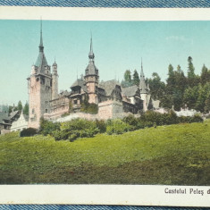 46 - Sinaia Castelul Peles din fata / carte postala