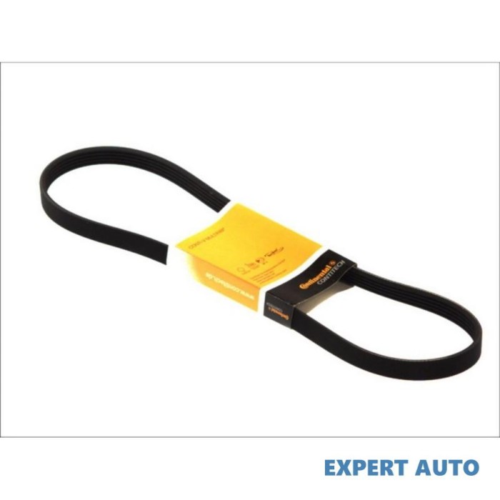 Curea transmisie cu caneluri Ford FIESTA Mk IV (JA_, JB_) 1995-2002