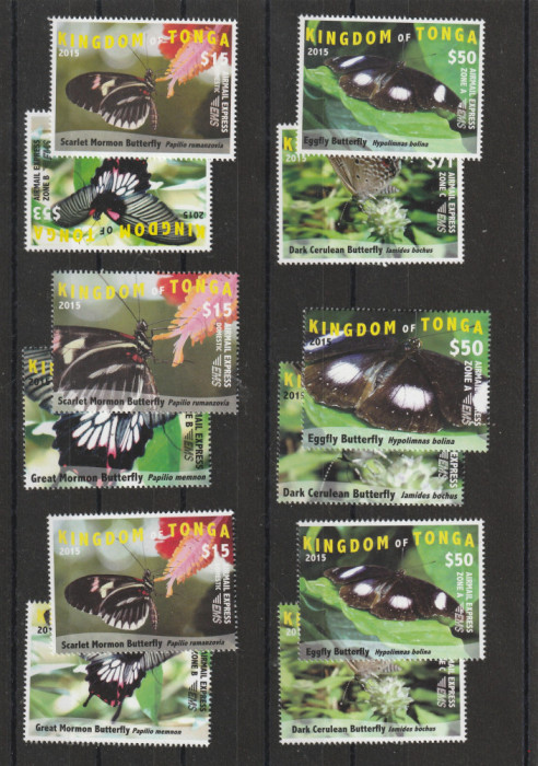 Tonga 2015-Fauna,Fluturi,serie complecta 12 valori,MNH,Mi.2044-7,2050-3,2056-9