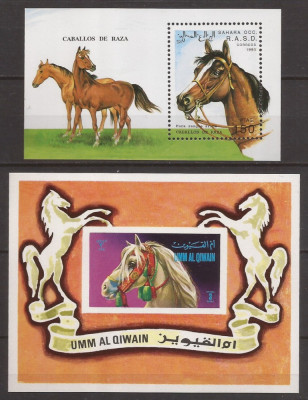 UMM AL QIWAIN,SAHARA OCC. FAUNA CAI ( 1 colita dt. + 1 colita ndt.) MNH foto