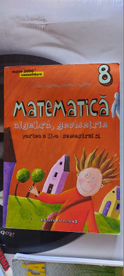 MATEMATICA ALGEBRA GEOMETRIE CLASA A VIII A PARTEA II SEMESTRUL II ANTON NEGRILA foto