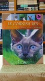 Le cornish rex - Le devon rex - le german rex (in tipla)
