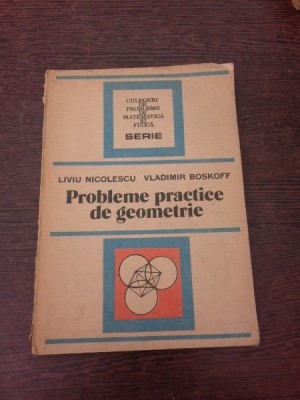 Probleme practice de geometrie - Liviu Nicolescu foto