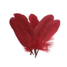 Set 20 pene decorative gasca, lungime 15 -21 cm, Bordo
