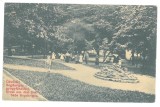 5050 - BOGDA, Timis, Park, Litho, Romania - old postcard - used - 1903