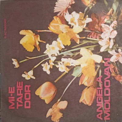 Disc vinil, LP. MI-E TARE DOR-ANGELA MOLDOVAN-240328 foto