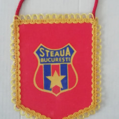 M3 C7 - Tematica cluburi sportive - Steaua Bucuresti