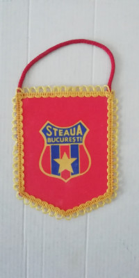 M3 C7 - Tematica cluburi sportive - Steaua Bucuresti foto