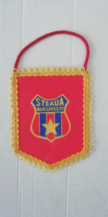 M3 C7 - Tematica cluburi sportive - Steaua Bucuresti