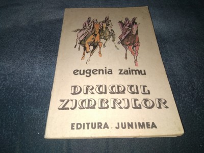 EUGENIA ZAIMU - DRUMUL ZIMBRILOR foto