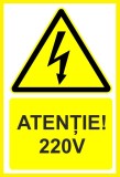 Placuta atentie 220v