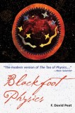 Blackfoot Physics: A Journey Into the Native American Universe