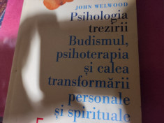 PSIHOLOGIA TREZIRII - JOHN WELWOOD, ED ELENA FRANCISC 2006, 312 P foto