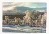 FA130 -Carte Postala- SUEDIA - Norrland. Fagernas Land Skarvarna , circulata 1966
