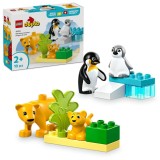 LEGO DUPLO FAMILII DE ANIMALE SALBATICE: PINGUINI SI LEI 10442