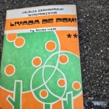 Livada de pomi - Nicolae Lupsa