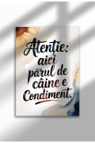 Poster Canvas Unframed Quote Dog in Romana - Print Digital - Parul este condiment | A4 (21 x 29.7 cm)