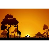 Fototapet Orange Safari