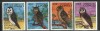 PR CONGO 1996 PASARI BUFNITE, Nestampilat