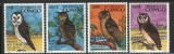 PR CONGO 1996 PASARI BUFNITE