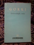 w4 Universitatile mele - Gorki