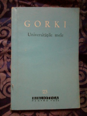 w4 Universitatile mele - Gorki foto